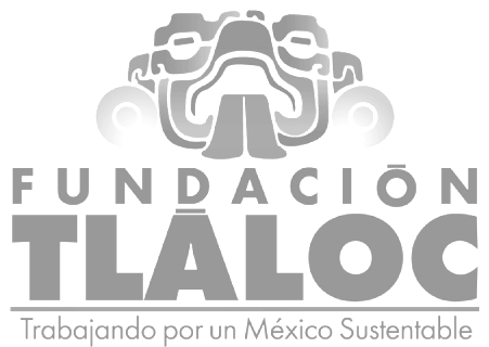 Fundación Tláloc
